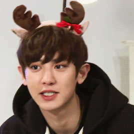 sefuns:  most handsome reindeer :)