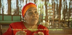 thewitchdoctorpoet:  Dinah Veeris, Master Healer and creator of Den Paradera Dinah Veeris gives insight regarding the African involvement in plant-based medicine and healing traditions. Slave healers cultivated some of the most powerful and resilient