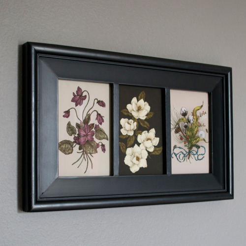 Incredible illustrator and friend miranda-meeks sent me this picture of my framed botanical postcard