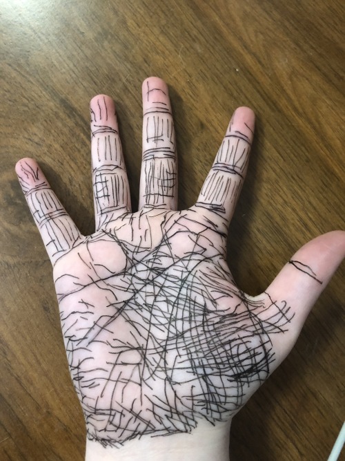 I Decided To Count Hand Wrinkles, I Drew A Line With Pen Over Every Single One I Found, Even The Faintest