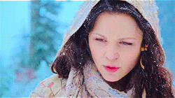 amythegloriouspond:Wolves don’t wear boots. No, they don’t.