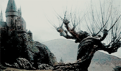 lydamartin:  hp marauders era:   “The truth is, everyone is going to hurt you.