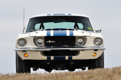 JUST THE COOLEST MUSTANGS