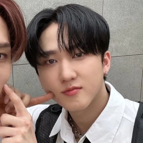 Lee Know + Seo Changbin Matching Icons/metadinhas.