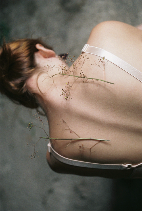 ordinair:  vintage/nature blog  