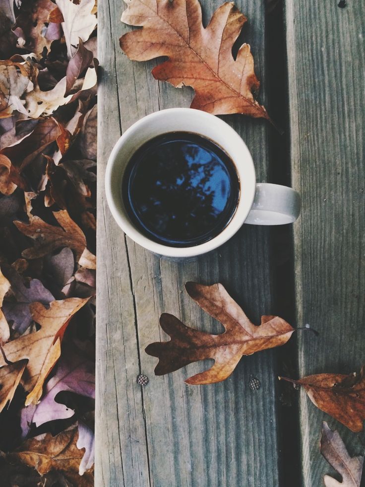 midnightinparis:  cup o’ joe