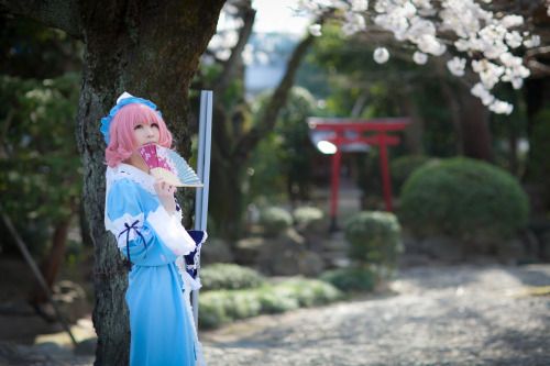 Touhou Project - Yuyuko Saigyouji (Mysuite) 14HELP US GROW Like,Comment & Share.CosplayJapaneseGirls1.5 - www.facebook.com/CosplayJapaneseGirls1.5CosplayJapaneseGirls2 - www.facebook.com/CosplayJapaneseGirl2tumblr - http://cosplayjapanesegirlsblog.tum