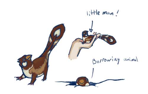 This Little Guys Part Of That World Building Project I Mentioned, In The Same Family As The Parrog. I