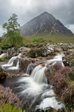 wildforestelf:  Buachaille Etive Mòr by