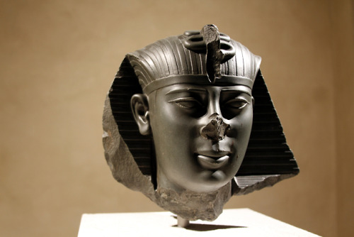 Fragmentary statue head of the 26th Dynasty pharaoh Amasis (Ahmose) II (r. 570-526 BCE), last native