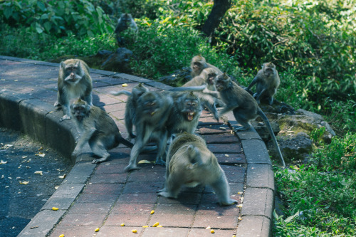 Bali, Indonesia.