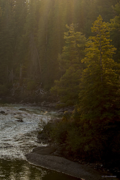 Lovely Lights on the Lamar River: Yellowstone National Park, Wyomingriverwindphotography, August 201