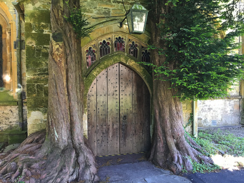 viksalos: Portals to another world - Avebury &amp; Chepstow, 2015(more photography)