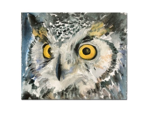 Owl art adult photos