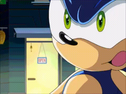 RabbitReview #1: Sonic X Ep.1: Chaos Control Freaks