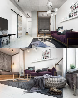 homedesigning:(via Two Takes On The Same Super-Small Apartment) 