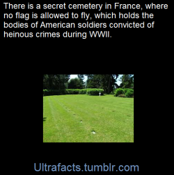 ultrafacts:    Plots A-D of the Oise Aisne American Cemetary hold the remains of American soldiers who died fighting in a small portion of Northern France during World War I. However set across the street unmarked and completely surrounded by impassible