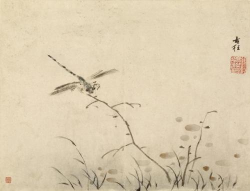 Dragonfly, Gao Qipei, 1713