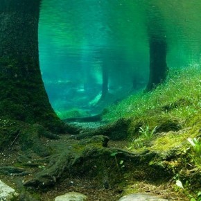 popfactory:  GREEN LAKE in Austria Grüner See (Green Lake) is a lake in Styria, Austria near the town of Tragöß. The lake is surrounded by the Hochschwab mountains and forests. The name “Green Lake” originated because of its emerald green