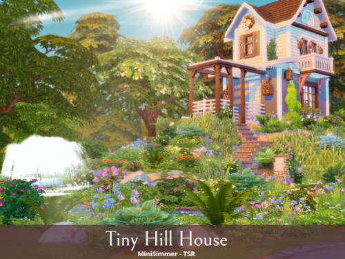 Tiny Hill HouseLot Details:- Lot type: Residential   - Lot size:  30x20 - Originally built in Wind