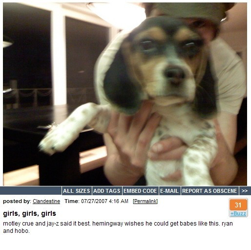 Tumblr media