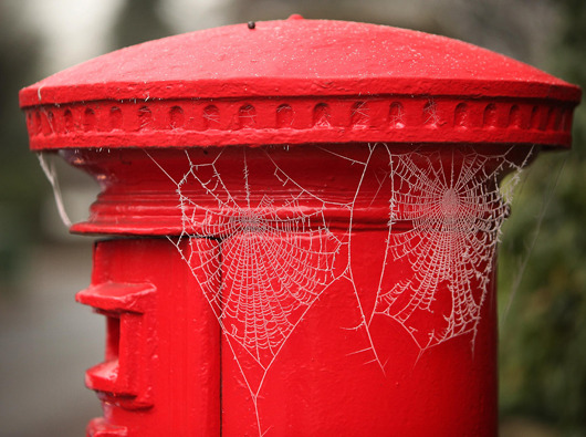 Photos of the day: 7 wonderful frozen spider webs     Hoar frost forms on cold, clear nights when heat rises into the atmosphere, causing exposed objects near the ground to grow colder than the surrounding air.