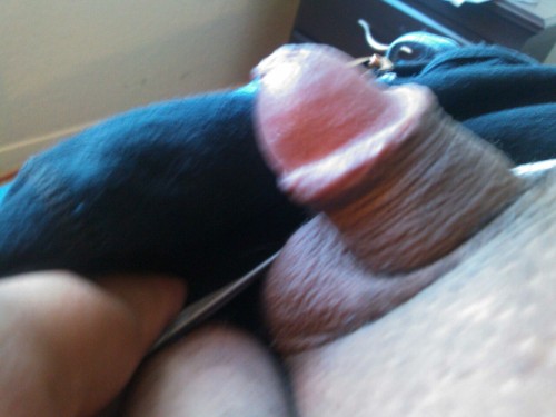 http://mychorizo.tumblr.com/post/56873890408