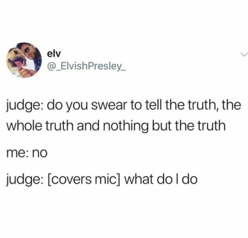 freshest-memes: Me as a judge