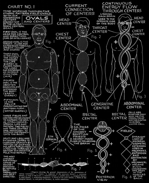 chaosophia218: Randolph Stone - Polarity Therapy.Polarity Therapy is a four-part approach to ba