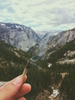 reddlr-trees:  My smoking spot this weekend [Yosemite National Park]