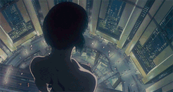 cinematographiliac:  Endless list of beautiful cinematography Ghost in the Shell (1995) Director of Photography: Hisao Shirai