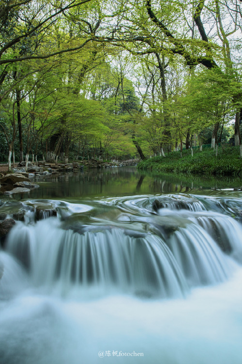 fuckyeahchinesegarden: March in hangzhou杭州, zhejiang province by 陈帆fotochen