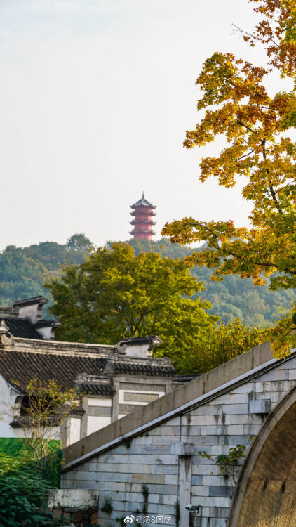 fuckyeahchinesegarden: huishan guzhen惠山古镇, wuxi, jiangsu province by 汤S同学