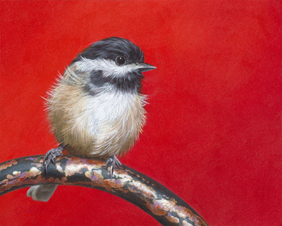 &ldquo;My Little Chickadee&rdquo;- oil painting by Camille Engel by CamilleEngelArt on Flick