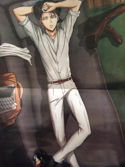leviskinnyjeans:  Levi Poster from Animedia