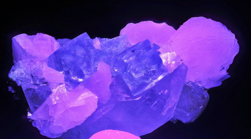 fuckyeah-mineralpwr: Fluorescent MineralsJust wanted to share these awesome things with you guys! ⭐✨