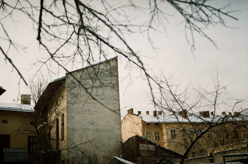 Winter 2014