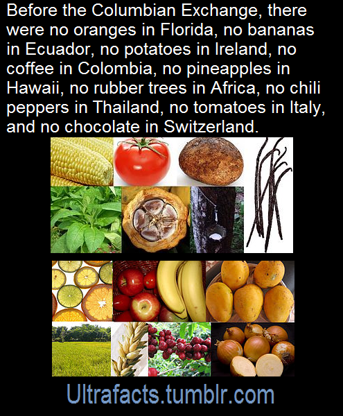 ultrafacts:    The Columbian Exchange or Grand Exchange was the widespread transfer