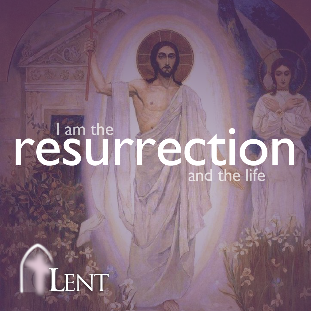 The catholictv network