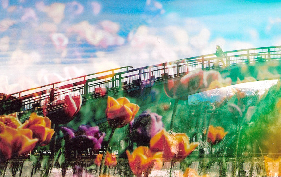 lomographicsociety:  Lomography Film of the Day - Kodak Ultramax 400