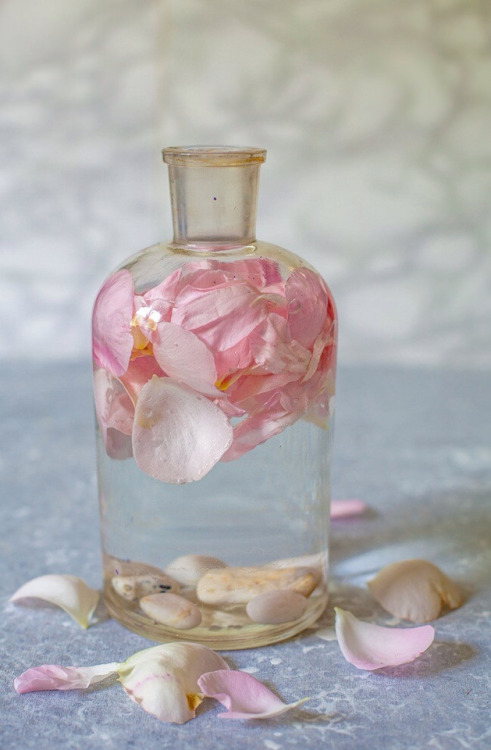 andantegrazioso:Rose water | ilva