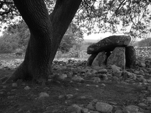 Dyffryn Burial Chamber Images, near Harlech, North Wales, 10th May 2015.