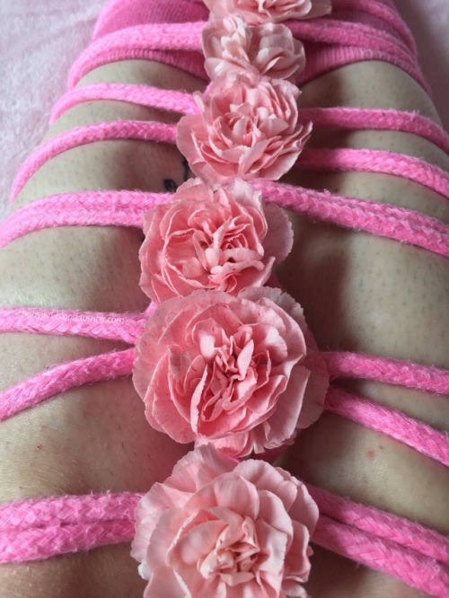 babygirl-blood: Baby carnations and self tied love✨ ✨Do not remove my caption, self promote or sav