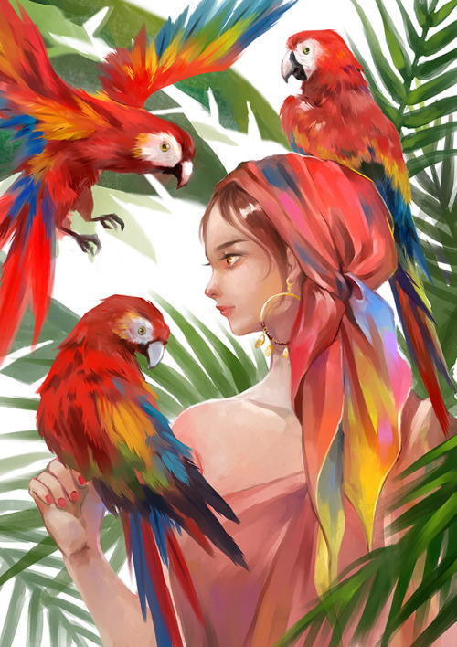 Macaw.