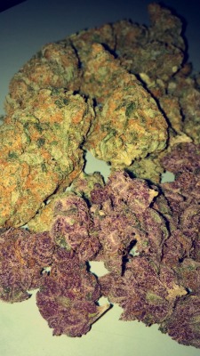 medicated-rose:  Blackberry Kush and Crippler