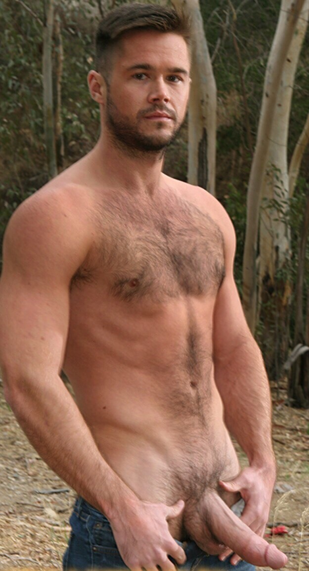 Bonne bouille torse poilu et bel engin Beautiful face hairy trunk and beautiful tool