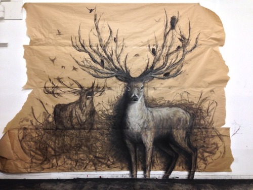 archiemcphee:Vancouver-based art student Fiona Tang creates large-scale trompe l’oeil drawings of an