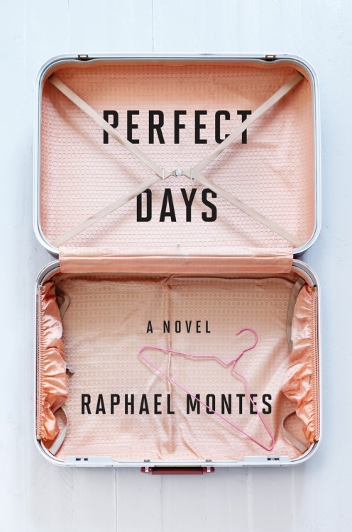 Enter the Librarian, a Review by Josh HanagarnePerfect Days by Raphael Montes   Perfect Days made me