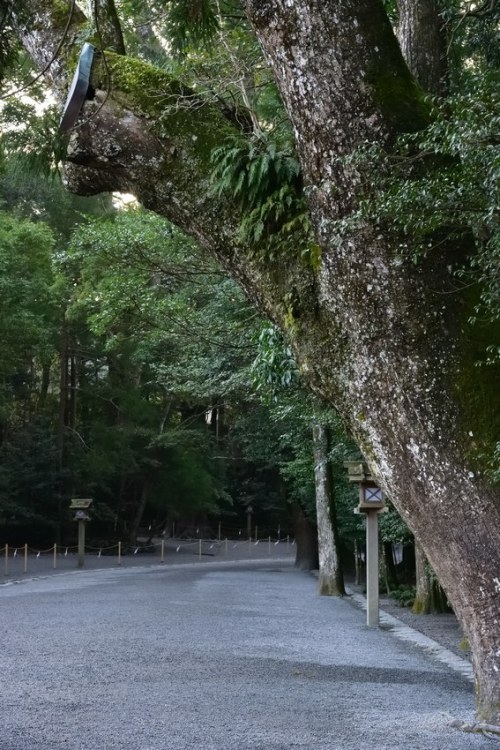 三重県　伊勢市　伊勢神宮　内宮Japan Mie ise IseGrandShrine Naiku Shrine IseJingu