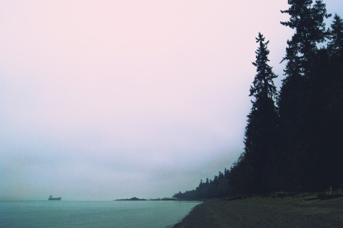 northwezt:The colors in-between.Point Defiance (Jan. 2014)